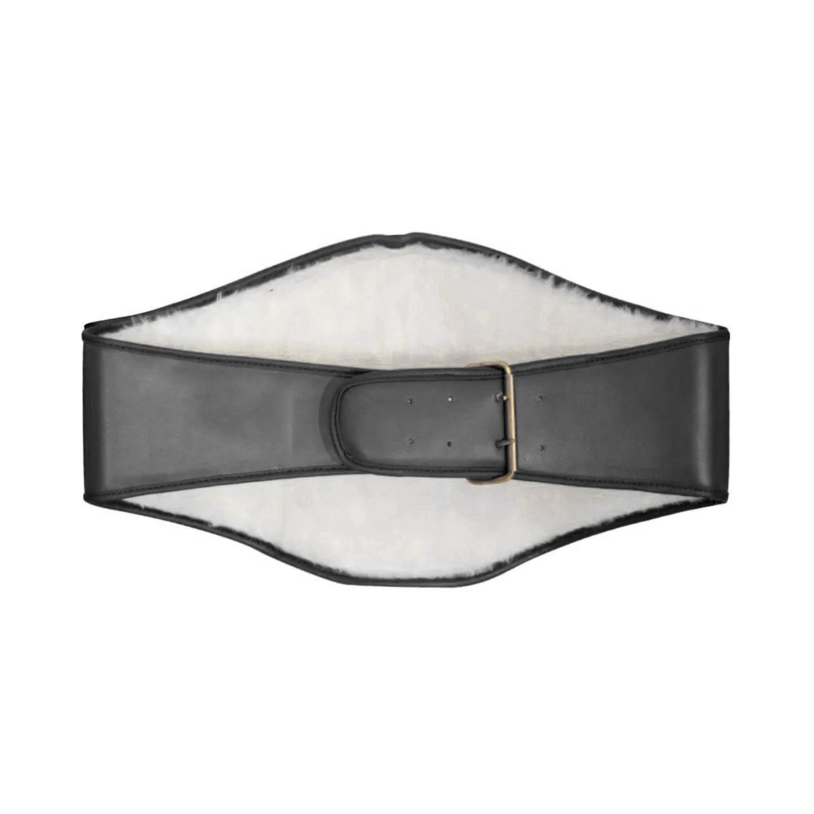 CANLO Championship Belt - Detailed craftsmanship and plate design
